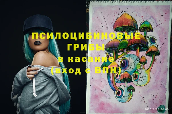 прущая мука Дмитров