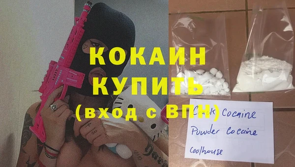стаф Сясьстрой