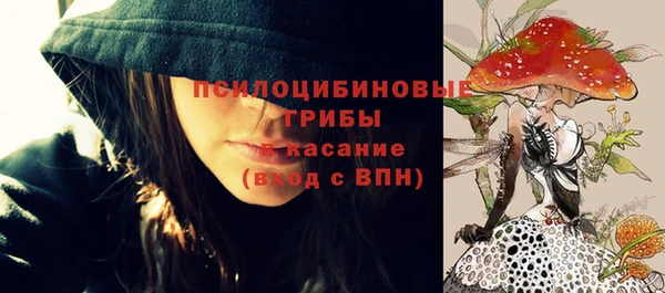 прущая мука Дмитров