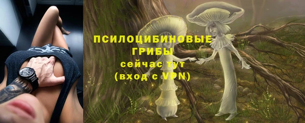 экстази Дмитриев