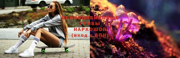 прущая мука Дмитров
