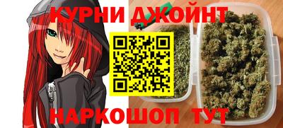 трава Гатчина