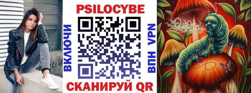 Псилоцибиновые грибы Cubensis  Сердобск 